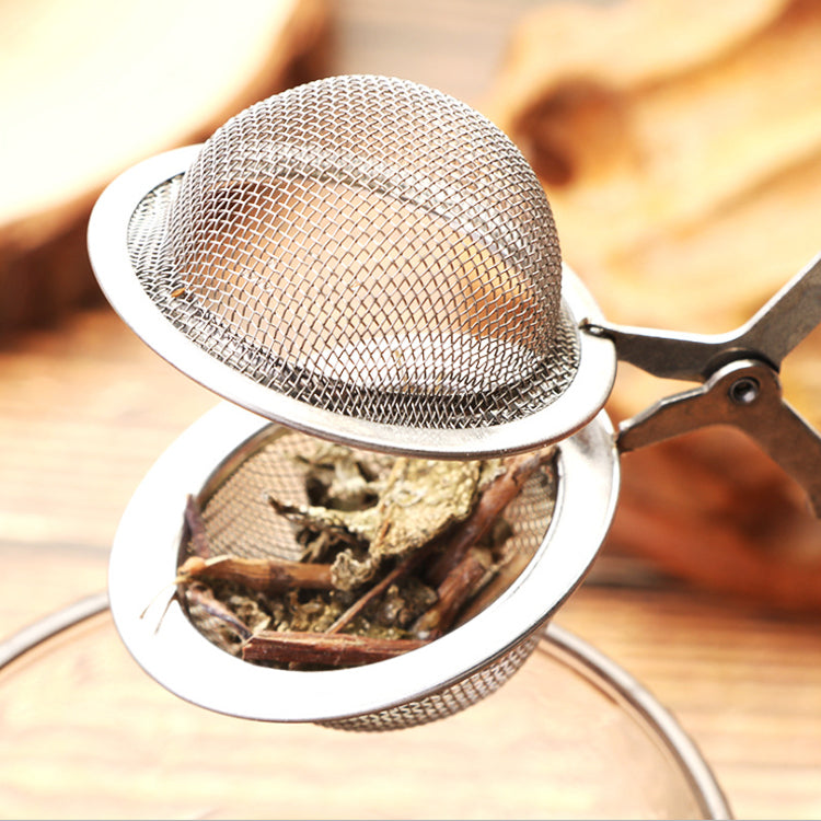 Mesh Spoon Stainless Steel Tea Infuser